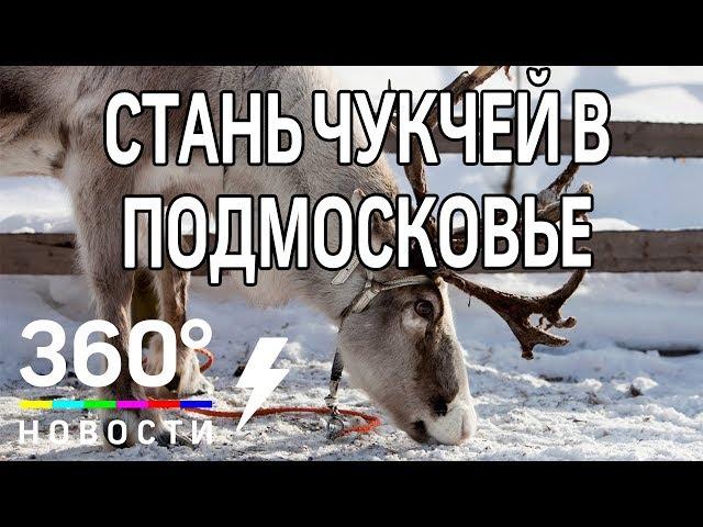 Куда сходить в Подмосковье на выходных