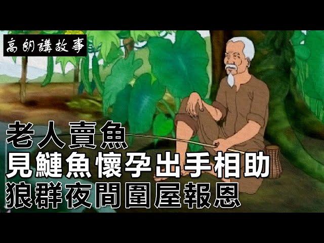 民間故事：老人賣魚，見鰱魚懷孕出手相助，狼群夜間圍屋報恩｜高朗講故事