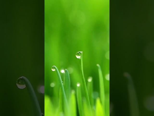  417 HZ PURE TONE  SOLFEGGIO FREQUENCY  #shorts