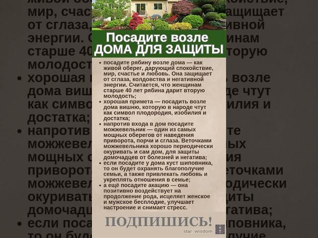 ПОСАДИТЕ ВОЗЛЕ ДОМА #shorts #приметы #эзотерика