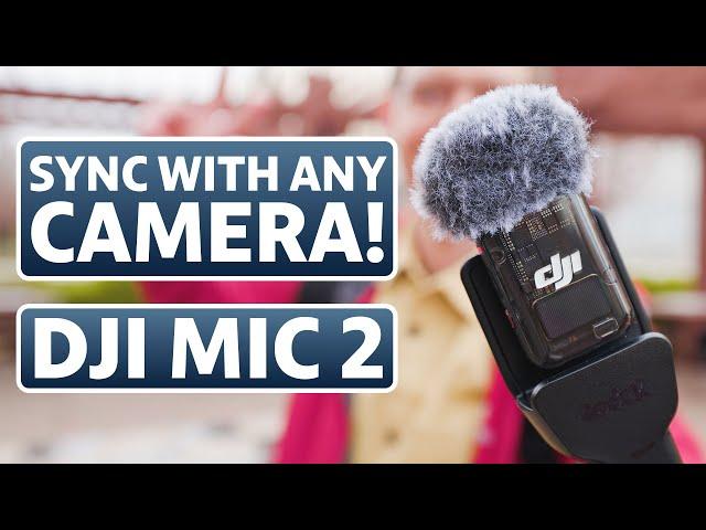 HOW TO Sync Your DJI Mic 2 To ANY Camera! No Receiver Needed!