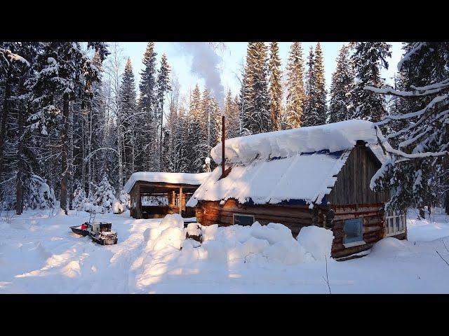 Лесная изба. Три дня один в глухой тайге. Рыбалка - язь, хариус. Таёжный быт, кухня. Мотобуксировщик