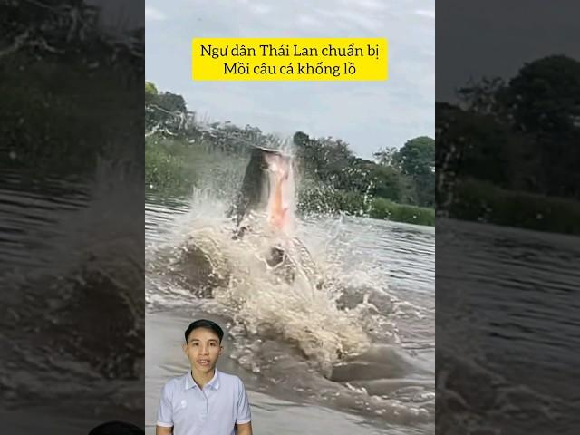 Làm mồi câu cá khổng lồ sông Mekong #cacconvat #docla #fishing