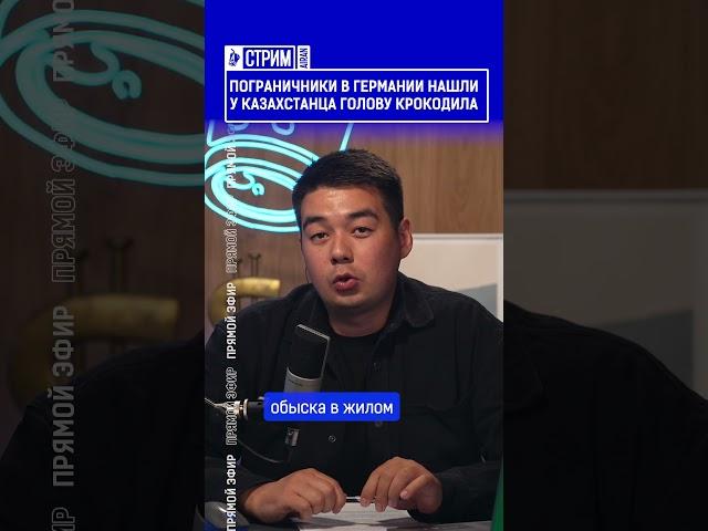 Пограничники в Германии нашли у казахстанца голову крокодила? Выпуск по ссылке в шапке профиля