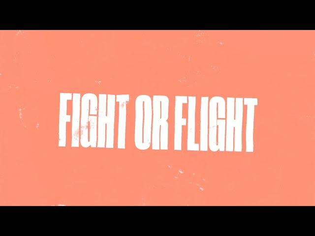 VISLA  - Fight Or Flight