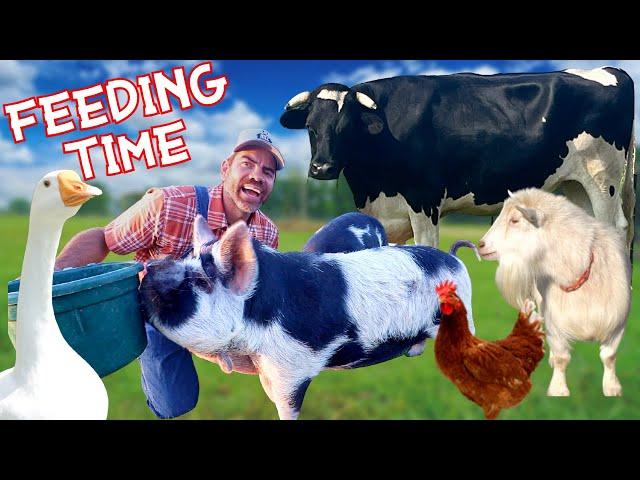 Feeding The Farm Animals with You!  (Educational Farm Video For Kids)