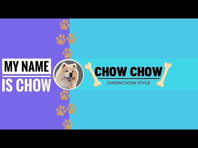 My name is Chow#chowchow #dog #comedy #how #tiktok #pets #puppy #how #funny