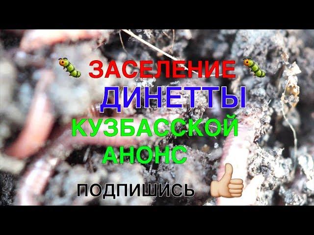 077ААНОНС  ЗАСЕЛЕНИЕ ДИНЕТТЫ КУЗБАССКОЙ 