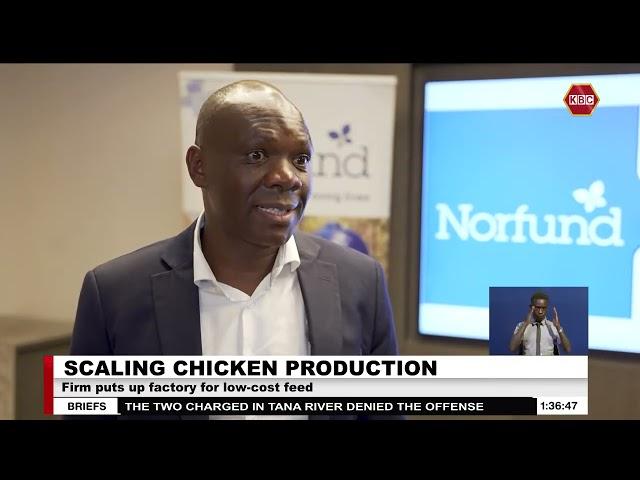 Norwegian fund invests Ksh.23 Billion in chicken breeding