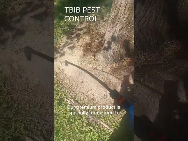 TBIB ANT CONTROL