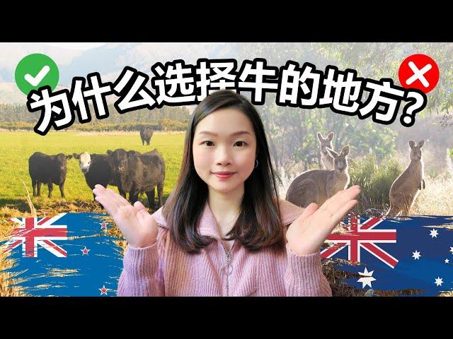 Why I Moved to New Zealand | Is Australia Better?
