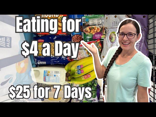 $25 for 7 Days | Eating for $4 a Day | Emergency Grocery Budget