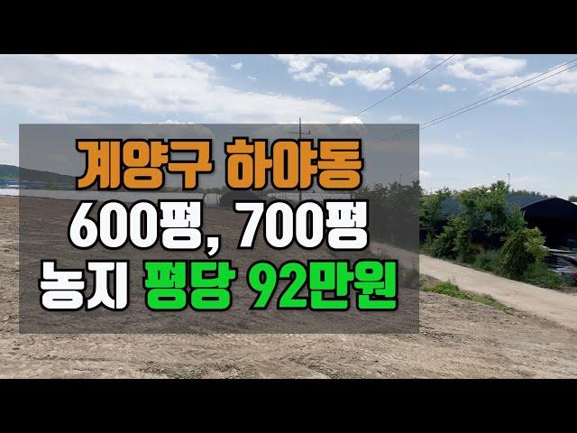 계양구 하야동 농지매매 600평 / 평당92만원