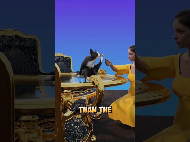  When Cats Were Executed  ️