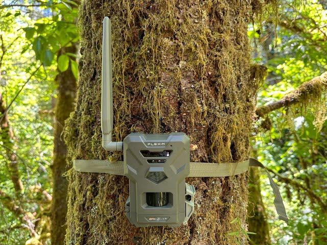 SpyPoint Flex M Trail Cam Review