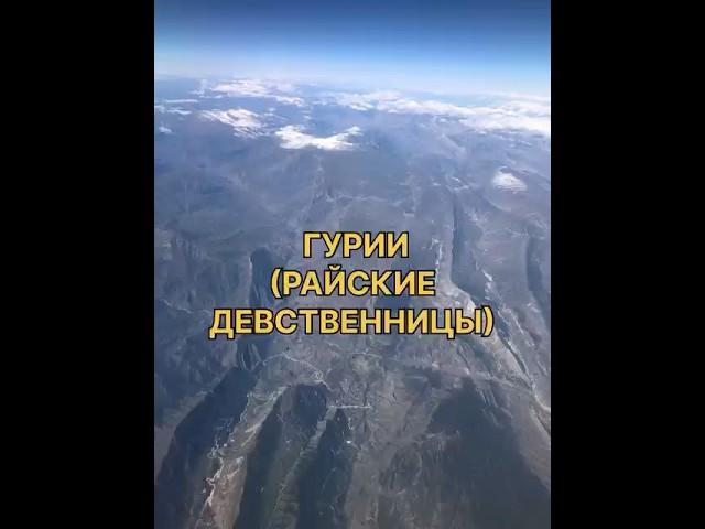 Гурии (райские девственницы)