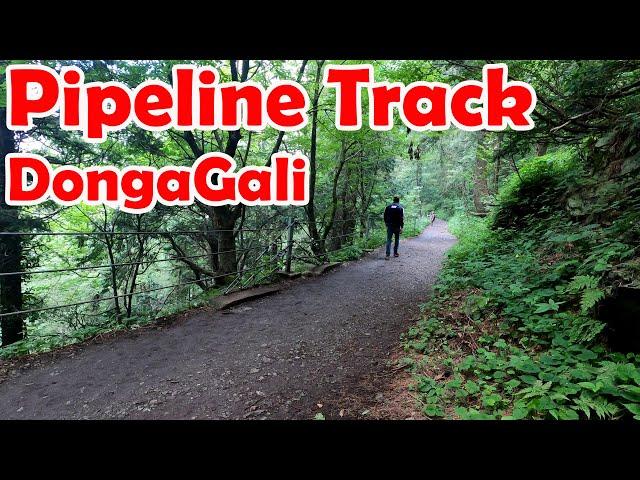 Pipeline Track , DongaGali || Nathiyagali 2024