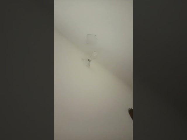 Lights On
