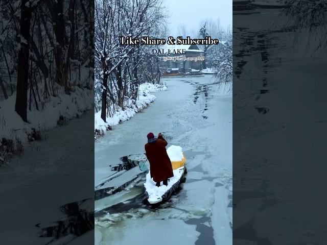 Dal Lake : Srinagar | डल झील | Dal In Winter | Kashmir 2024 | Frozen Dal #dal #dallake #kashmir