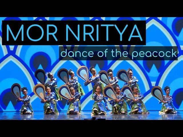 Mor Nritya (Peacock Dance) | Kruti Dance Academy