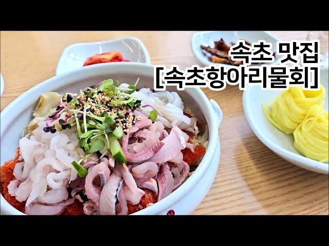 [속초항아리물회] 속초맛집, 속초가볼만한곳, 속초여행 Sokcho Trip