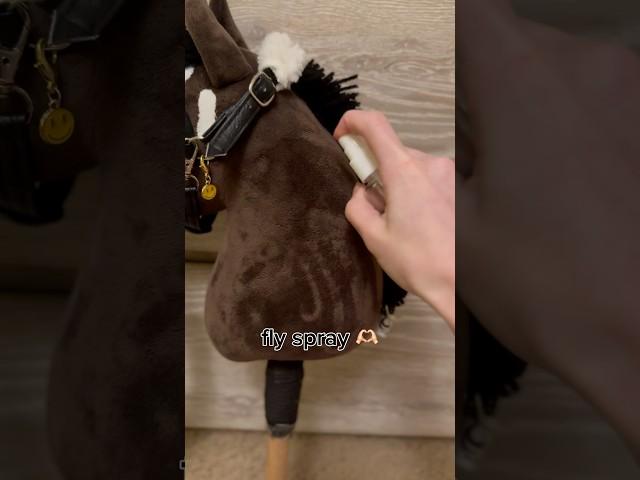I love this care kit 🫶 #youtubeshorts #horse #equestrain #hobbyhorse