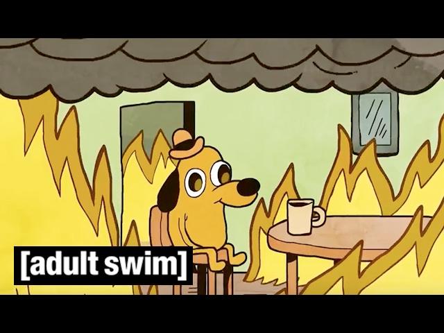 This is Fine! | Adult Swim