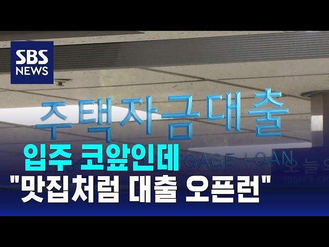 입주 코앞인데…"맛집처럼 대출 오픈런" / SBS