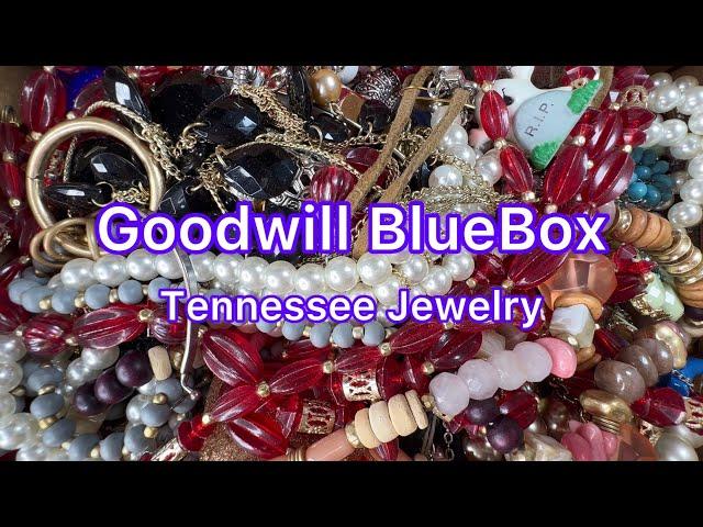 Goodwill BlueBox Nashville Tennessee THE BEST BOX YET? 925 14K #jewelry #unboxing #goodwill