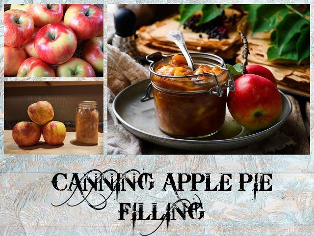 HOW I CAN APPLE PIE FILLING (NEVER DEAL WITH SIPHONING/OOZING AGAIN) | THE VIDEO I FORGOT TO UPLOAD!