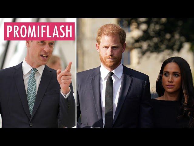 Prinz William riet Harry von seiner Verlobung mit Meghan ab