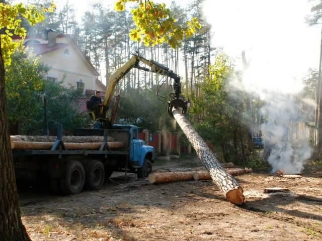 Кронирование, удаление деревьев в Киеве (http://gekkon-alp.com.ua)