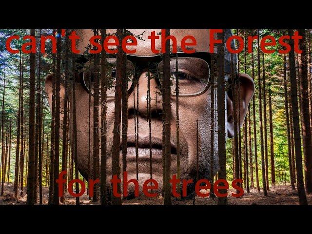 cant see the Forest for the trees