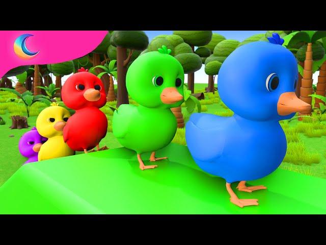 Five Little Ducks | Kids Songs | BluLoo Nursery Rhymes & Kids Songs