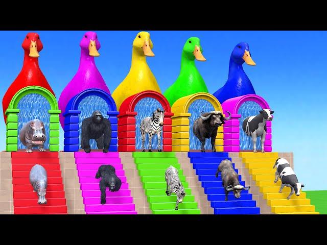 Long Slide Game With Cow Elephant Gorilla Hippopotamus Tiger - 3d Animal Game - Funny 3d Animals