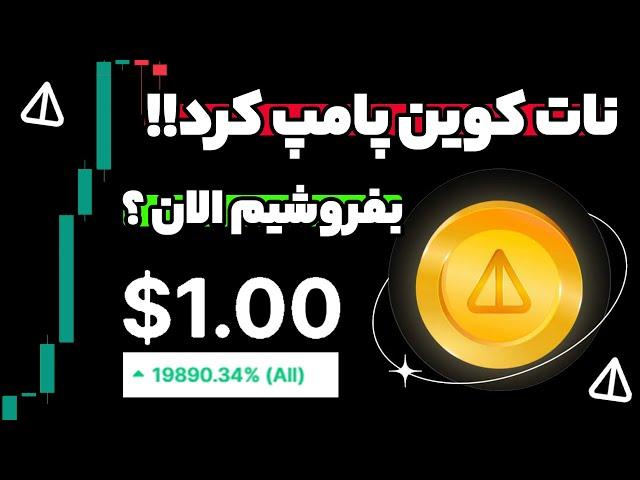 نات کوین پامپ بزرگی کرد !! الان زمانش شده بفروشیم ؟ شروع رسیدن به یک دلار