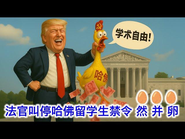 美国法官叫停政府禁止哈佛招收留学生，哈佛得救了？(然)而(并)没有什么(卵)用。真正客观中立的华裔，不会在这件事上完全站在哈佛那边