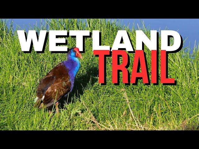 Yanchep National Park Trails - Wetlands Walk Trail and Birdlife Review