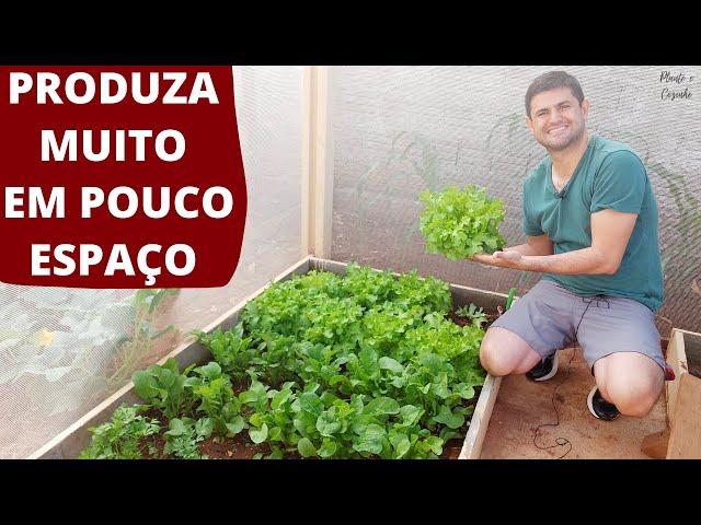 COMO FAZER UMA HORTA PEQUENA NO QUINTAL DE CASA E TER FARTURA DE VERDURAS E LEGUMES ORGÂNICOS Ep145