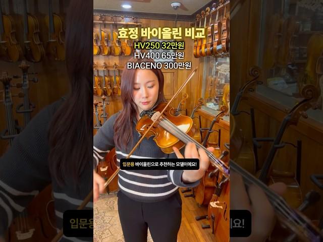 효정 바이올린 비교! (입문용 고급용 바이올린 추천)