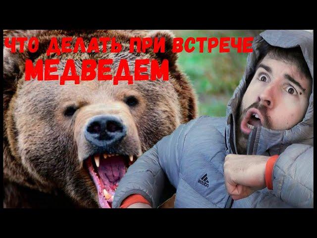 Что делать при встрече с МЕДВЕДЕМ  [ Как спастись от Медведя  ]
