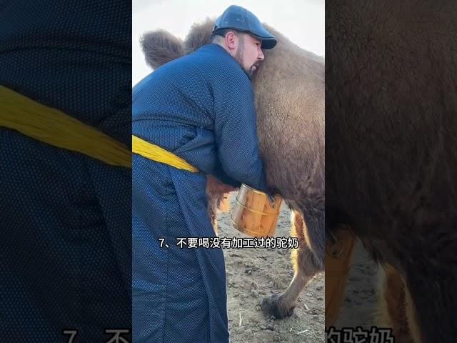 新疆旅行十四大警告