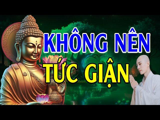 Phật dạy Không Tức Giận - Học cách buông bỏ nóng giận để bớt khổ đau!   Lời Phật Dạy Hay Nhất