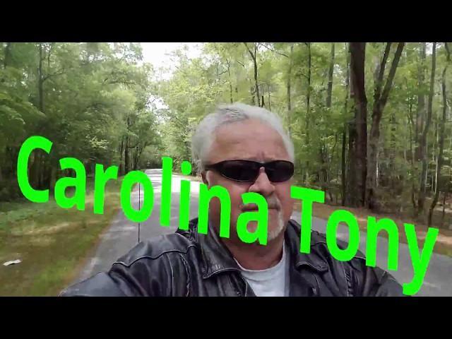 The Birth Of Carolina Tony