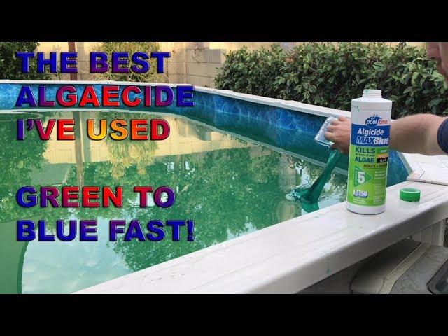 Kill Pool Algae in 24 Hours  - The Best Algicide I've Ever Used