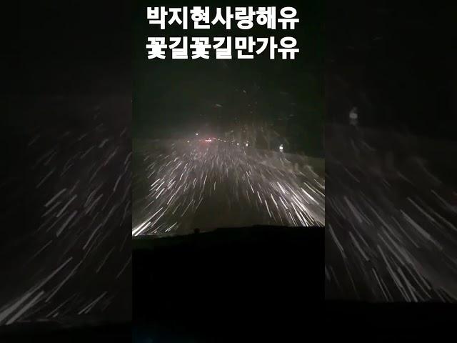 #박지현정원 #꽃길만걸어유 #메리크리스마스 #팔도강산낚시
