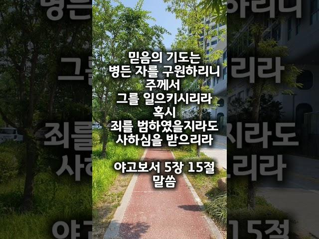 야고보서 5장 15절 말씀 #귀한말씀 #은혜로운채널 #좋은글 #성경구절 #축복된삶 #지혜 #멋진글귀 #성경말씀 #성경구절암송