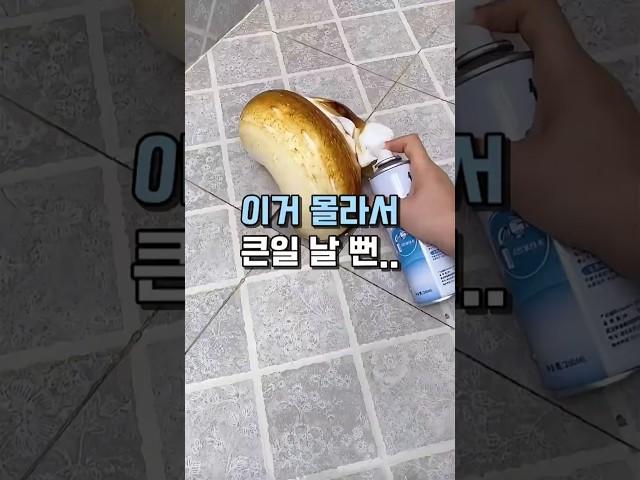 이거 안 했다가 진짜 큰일 날 뻔.. #살림템 #하수구냄새 #배관청소 #생활꿀팁