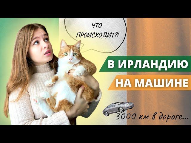 VLOG: НА МАШИНЕ  В ИРЛАНДИЮ С КОТОМ ~ ТРУДНОСТИ В ДОРОГЕ #влог #украинцывирландии