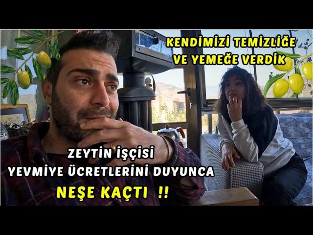 ZEYTİN İŞÇİSİ YEVMİYE ÜCRETLERİNİ DUYUNCA NEŞE KAÇTI ! KENDİMİZİ TEMİZLİĞE VE YEMEĞE VERDİK KÖY VLOG